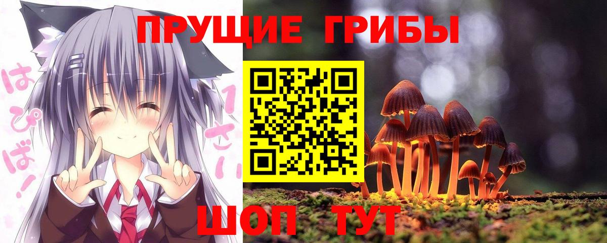 Асино  наркотики  Вход с VPN  Галлюциногенные грибы ЛСД 
